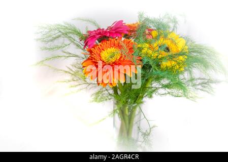 Stilisierte Foto von fünf Gerbera Blumen auf einem rosa Hintergrund. Gelb, Rosa, Rot, Orange Gerbera auf einem hellen Hintergrund. Bunt blühende Gerb Stockfoto