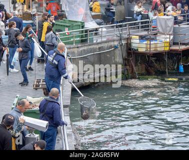 Istanbul, Türkei - Oktober -5.2019: Der Arbeiter, der Müll sammelt vom Meer auf Eminonu Strand. Stockfoto