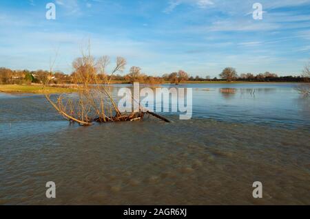 Überschwemmte Felder in der Nähe von radwell Bedfordshire England Großbritannien im Januar 2014, als es große Überschwemmungen in vielen Teilen von Großbritannien Stockfoto