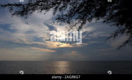 Direkt am Meer mit einer untergehenden Sonne hinter Wolken versteckt, und die Silhouette von Casuarina Tree Blätter im Vordergrund. Stockfoto