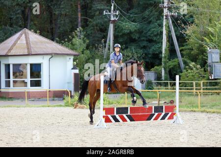 Ukraine, Kiew - 23. August 2019: Ausbildung für junge Reiter springen beim Sport Base in einem Wald in der Nähe der Hauptstadt Stockfoto