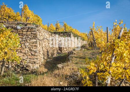 Traditionelle stonewall in den Weinbergen in der Nähe von Durnstein, Wachau, Österreich Stockfoto