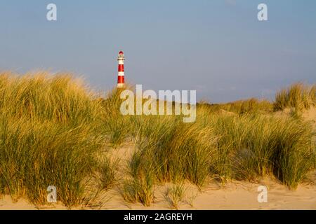 Vuurtoren Leuchtturm in Hollum auf Ameland aus den Dünen am Strand während der Goldenen Stunde gesehen Stockfoto