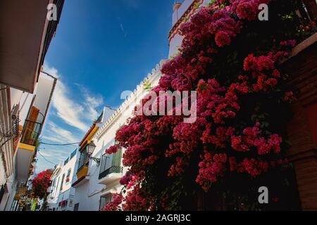 Tarifa's city centre street scene Stockfoto