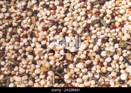 Ungekocht Quinoa Körner - close-up, kann als Hintergrund verwendet werden Stockfoto