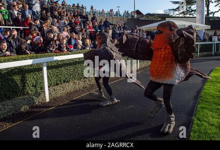 Pferderennbahn Ascot, Berkshire, Großbritannien. 21 Dez, 2019. Ascot Weihnachten Familie Racing Wochenende, das Twittern Robins der Massen bei der Pferderennbahn Ascot unterhalten. Credit: alamy Live News/Credit: Maureen Maureen McLean McLean/Alamy leben Nachrichten Stockfoto