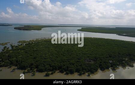 (191221) - HAIKOU, Dez. 21, 2019 (Xinhua) - Luftaufnahme auf Dez. 18, 2019 zeigt eine Ansicht der Mangrovenwald in Dongzhaigang National Nature Reserve im Süden Chinas Hainan Provinz übernommen. Hainan, reich an Mangroven Ressourcen, hat jetzt über 5.727 Hektar Mangrovenwälder, von denen die meisten in einer Reihe von Schutzgebieten - Natur- und Wetland Parks verteilt sind. Chen Zhengping, Feng Erhui, Luo Lixiang und Lyu Shiyang sind alle grassroots Mangrove der Schutz und die Verwaltung von Personal mit verschiedenen Mangrove Reserven in Hainan Provinz, Übernahme von Verantwortung, einschließlich patrouillieren, mo Stockfoto