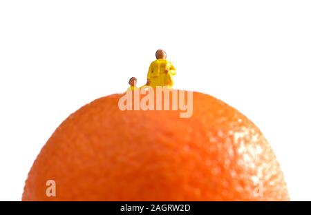 Minifigürchen Mama, Mütter, Kinder, Kinder, die auf einem orange Satsuma vor einem weißen Hintergrund Stockfoto