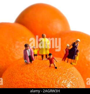 Minifigürchen Mama, Mütter, Kinder, Kinder, die auf einem orange Satsuma vor einem weißen Hintergrund Stockfoto