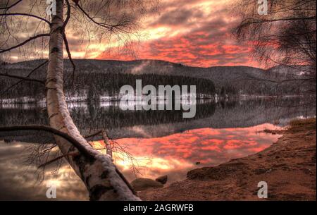 Schluchsee in der Dämmerung im Winter. Schwarzwald, Deutschland. Stockfoto