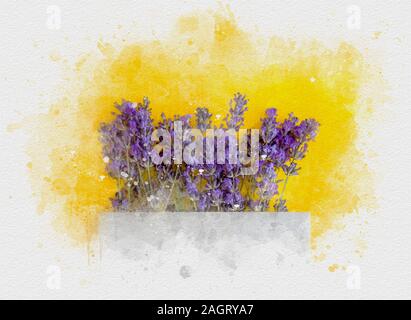 Aquarell Abbildung: ein Gemälde mit Flecken von Farbe, auf einem gelben Hintergrund einen Blumenstrauß aus Lavendelblüten Stockfoto