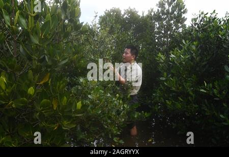 (191221) - HAIKOU, Dez. 21, 2019 (Xinhua) - Feng Erhui, Forstingenieur in Dongzhaigang National Nature Reserve, inspiziert Mangroven in der Reserve im Süden Chinas Hainan Provinz, Dez. 18, 2019. Hainan, reich an Mangroven Ressourcen, hat jetzt über 5.727 Hektar Mangrovenwälder, von denen die meisten in einer Reihe von Schutzgebieten - Natur- und Wetland Parks verteilt sind. Chen Zhengping, Feng Erhui, Luo Lixiang und Lyu Shiyang sind alle grassroots Mangrove der Schutz und die Verwaltung von Personal mit verschiedenen Mangrove Reserven in Hainan Provinz, Übernahme von Verantwortung, einschließlich patr Stockfoto