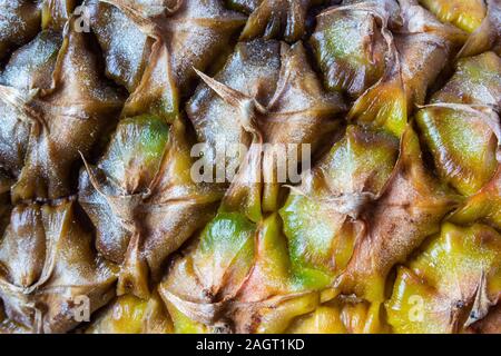 Close-up von Ananas Haut Textur 2. Stockfoto