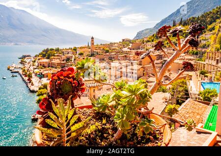 Lebendige Sukkulenten wachsen in einem Blumentopf auf dem Balkon, mit Limone Sul Garda Stadtbild auf Hintergrund. Ufer des Gardasees umgeben von malerischen Norden Stockfoto