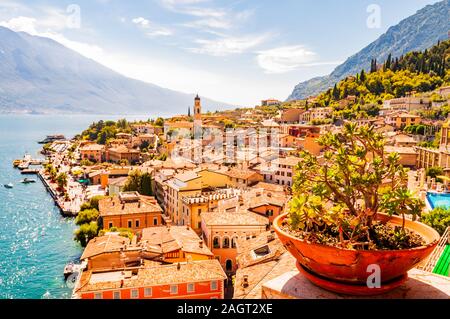 Lebendige Sukkulenten wachsen in einem Blumentopf auf dem Balkon, mit Limone Sul Garda Stadtbild auf Hintergrund. Ufer des Gardasees umgeben von malerischen Norden Stockfoto