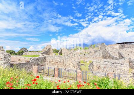 Alte Ruinen von Pompeji Stadt mit roten Blume in Italien Stockfoto