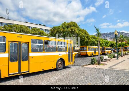 Funchal, Madeira, Portugal - September 10, 2019: Main Station Terminal mit gelben Busse in der Hauptstadt Madeiras. System öffentlicher Verkehrsmittel. Geparkten Busse fotografiert an einem sonnigen Sommertag. Stockfoto