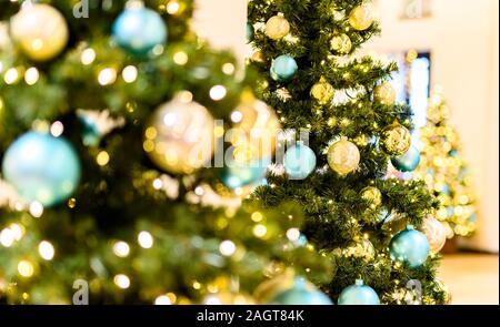 Drei Weihnachtsbäume mit goldenen und Türkis Kugeln und viele kleine Lichter. Der Fokus liegt auf den Baum in der Mitte. Die anderen Bäume sind verschwommen Stockfoto