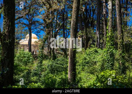 Gärten von Pena Park bei der Stadt Sintra Stockfoto