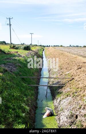 Ein kleiner Bach, der an der Seite der offenen Felder läuft, in der Britischen Landschaft. Stockfoto