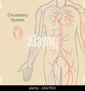 Vektor Banner-vorlage mit menschlichen Kreislaufsystem im Retro-Stil mit Hintergrund dargestellt. Stock Vektor