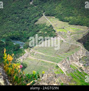 Die Terrassen- oder landwirtschaftlichen Plattformen des Inkareiches, Machu Picchu Cusco Stockfoto