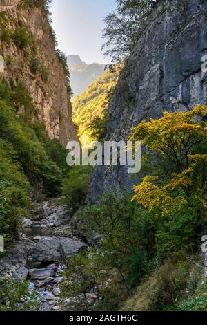 Herbst in der Rugova Canyon, eine der längsten Schluchten Europas, in der Nähe der Stadt Pec (Peja) in der Republik Kosovo, zentralen Balkan. Stockfoto