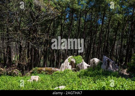 Gärten von Pena Park bei der Stadt Sintra Stockfoto