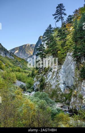 Herbst in der Rugova Canyon, eine der längsten Schluchten Europas, in der Nähe der Stadt Pec (Peja) in der Republik Kosovo, zentralen Balkan. Stockfoto