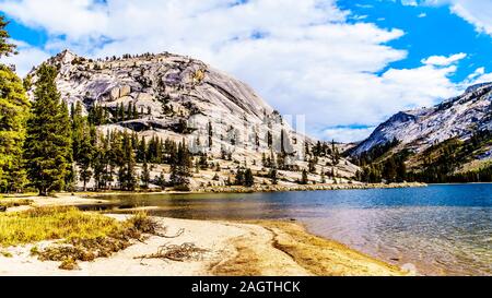 Granit Berge, die die klare Gletscherwasser der Tenaya Lake in einer Höhe von 2484 m im Yosemite National Park, Kalifornien, USA Stockfoto