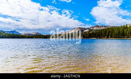 Die klare Gletscherwasser der Tioga See auf einer Höhe von 2938 m auf der Tioga Pass im östlichen Teil des Yosemite National Park, Kalifornien, USA Stockfoto