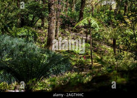 Gärten von Pena Park bei der Stadt Sintra Stockfoto