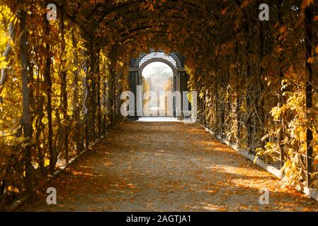 Park Pergola im Herbst, Innenansicht Stockfoto