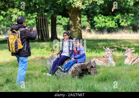 Ein Vater nimmt Bilder seiner Kinder mit der Richmond Park Rotwild in der Nähe im Hintergrund, Richmond, London, UK Stockfoto