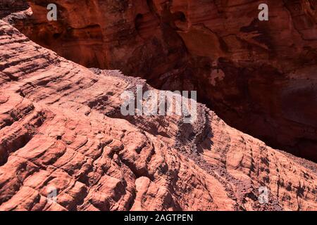 Rot und Orange Sandstein Felsformationen entlang der Knochen waschen Elefant Arch Trail in Red Cliffs National Wüste finden in Saint George, Utah. United S Stockfoto