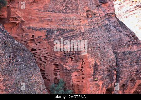 Rot und Orange Sandstein Felsformationen entlang der Knochen waschen Elefant Arch Trail in Red Cliffs National Wüste finden in Saint George, Utah. United S Stockfoto