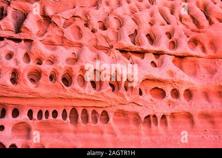 Rot und Orange Sandstein Felsformationen entlang der Knochen waschen Elefant Arch Trail in Red Cliffs National Wüste finden in Saint George, Utah. United S Stockfoto