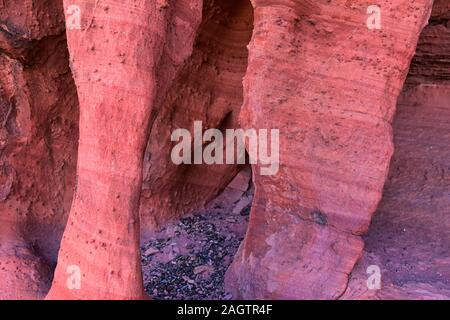 Rot und Orange Sandstein Felsformationen entlang der Knochen waschen Elefant Arch Trail in Red Cliffs National Wüste finden in Saint George, Utah. United S Stockfoto