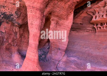 Rot und Orange Sandstein Felsformationen entlang der Knochen waschen Elefant Arch Trail in Red Cliffs National Wüste finden in Saint George, Utah. United S Stockfoto