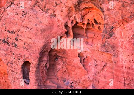 Rot und Orange Sandstein Felsformationen entlang der Knochen waschen Elefant Arch Trail in Red Cliffs National Wüste finden in Saint George, Utah. United S Stockfoto