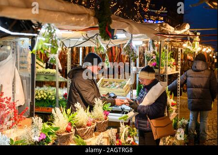 Schweden, Stockholm, 18. Dezember 2019: weihnachtliche Atmosphäre der Stadt. Weihnachten blumen Verkauf am Hötorget Square im Zentrum von Stockholm. Winter tra Stockfoto