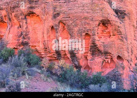 Rot und Orange Sandstein Felsformationen entlang der Knochen waschen Elefant Arch Trail in Red Cliffs National Wüste finden in Saint George, Utah. United S Stockfoto