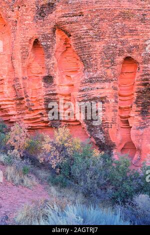 Rot und Orange Sandstein Felsformationen entlang der Knochen waschen Elefant Arch Trail in Red Cliffs National Wüste finden in Saint George, Utah. United S Stockfoto