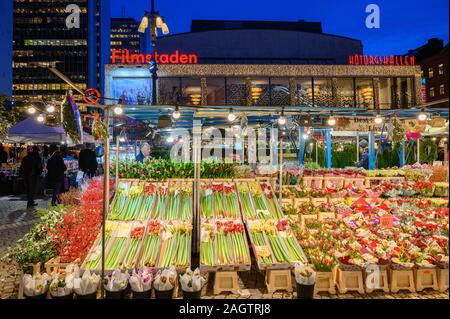 Schweden, Stockholm, 18. Dezember 2019: weihnachtliche Atmosphäre der Stadt. Marktstände mit Blumen am Hötorget Square im Zentrum von Stockholm. Winter Stockfoto