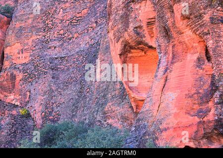 Rot und Orange Sandstein Felsformationen entlang der Knochen waschen Elefant Arch Trail in Red Cliffs National Wüste finden in Saint George, Utah. United S Stockfoto