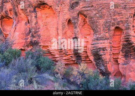 Rot und Orange Sandstein Felsformationen entlang der Knochen waschen Elefant Arch Trail in Red Cliffs National Wüste finden in Saint George, Utah. United S Stockfoto