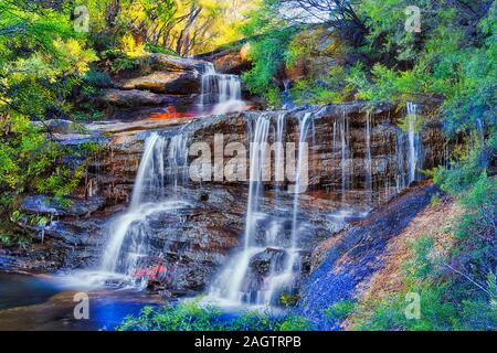 Kaskade von Wasserfällen in den australischen Blue Mountains schneiden durch Sandsteinfelsen im Immergrün Gum Tree Forest am sonnigen Morgen. Stockfoto