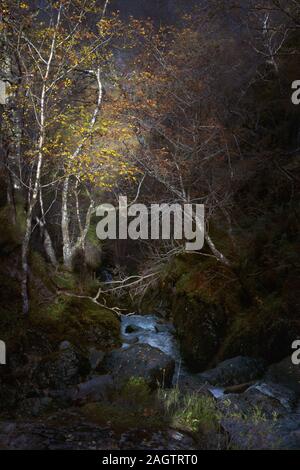 Herbst Landschaft mit Bergbach und Bäume. Hidden Valley, Glencoe, Schottland Stockfoto