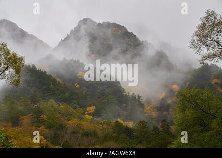 Malerischer Herbst Wald Berg in kamikochi Japan alpine Stockfoto