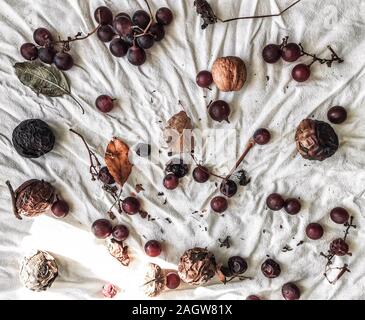 Späten Herbst Hintergrund unordentlich flach auf weißem zerknittert aus Baumwollgewebe: Walnüsse in der nußschale, wilden Trauben und trockenen Blättern. Stockfoto